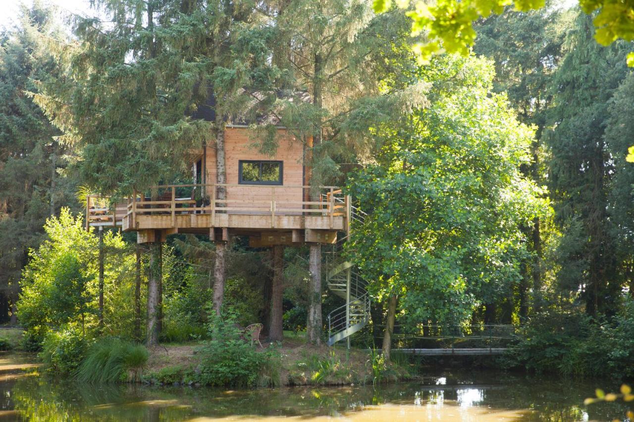 Les Cabanes De Koad'Dour - Sejour Spa Dans Les Arbres Les Portes du Coglais Buitenkant foto