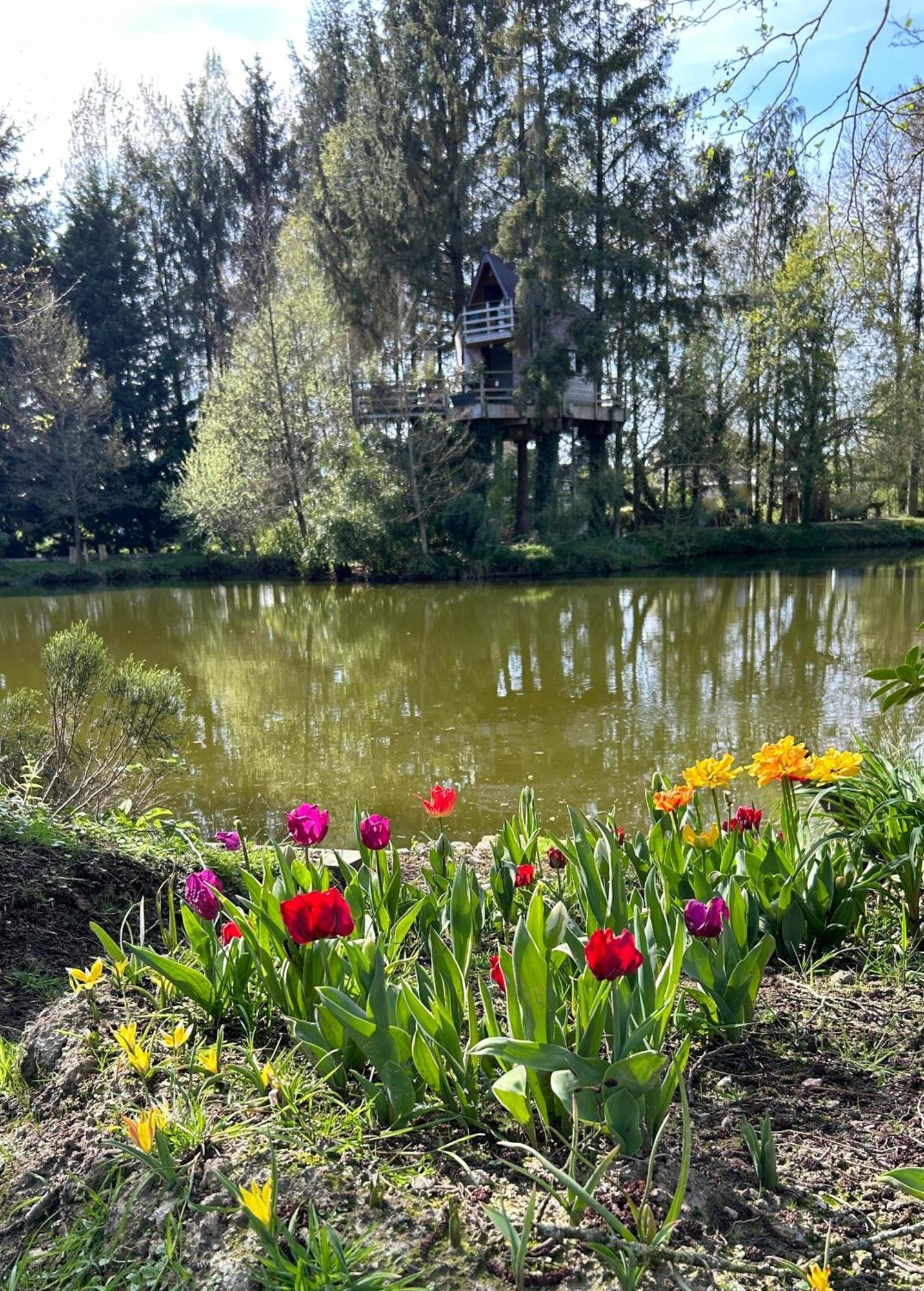 Les Cabanes De Koad'Dour - Sejour Spa Dans Les Arbres Les Portes du Coglais Buitenkant foto